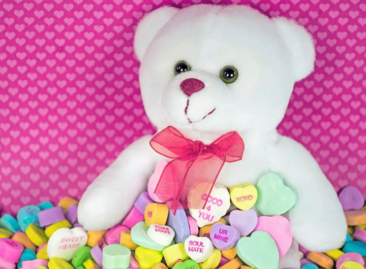 Teddy Day 2024